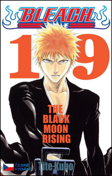 Obálka knihy Bleach 19