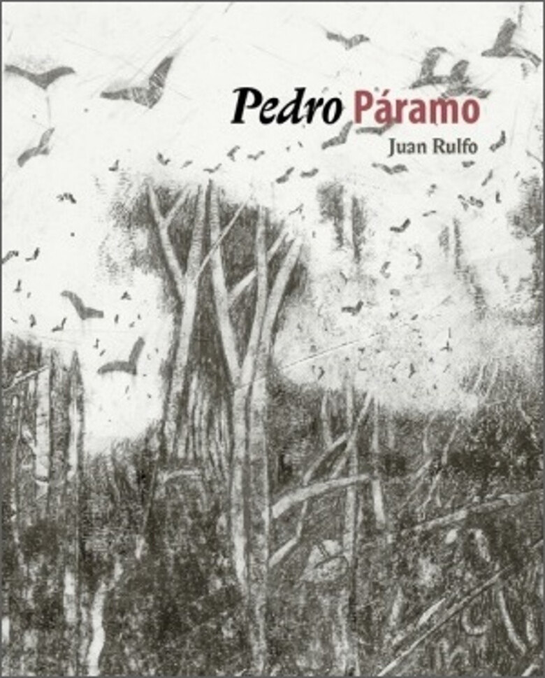 Obálka knihy Pedro Páramo