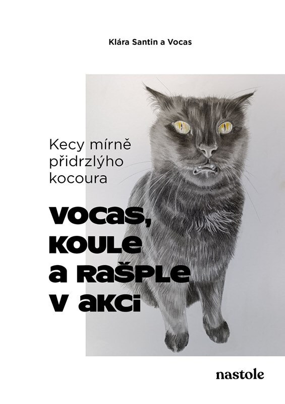 Obálka knihy Kecy mírně přidrzlýho kocoura
