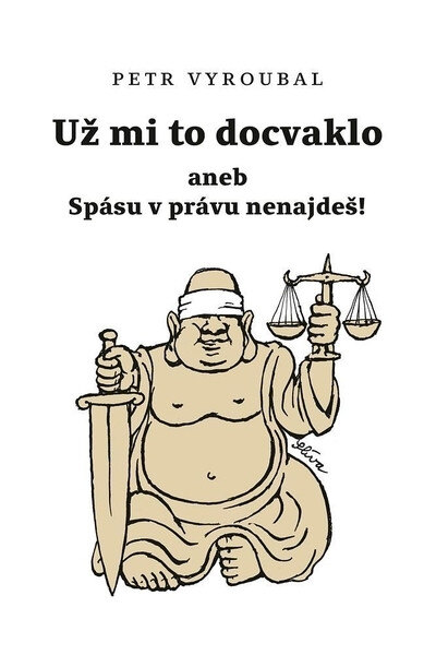 Obálka knihy Už mi to docvaklo