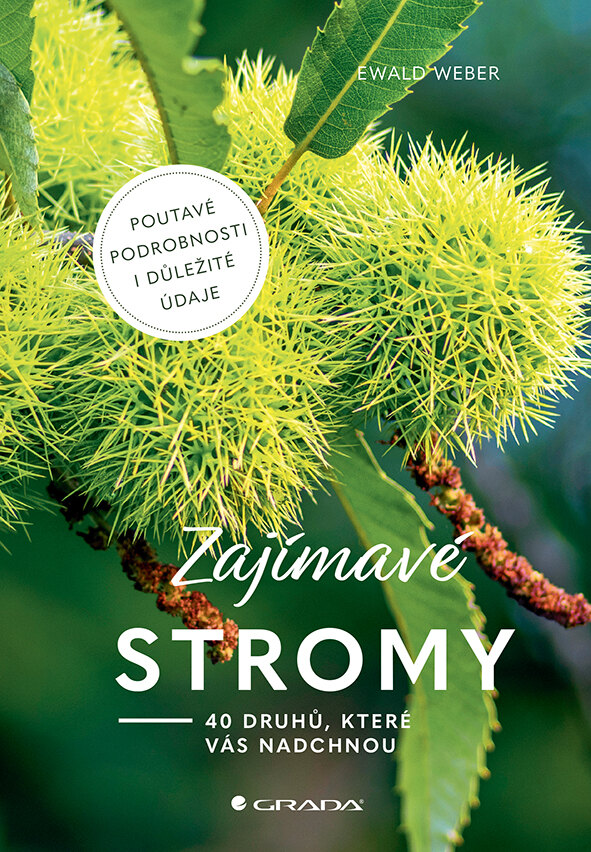 Obálka knihy Zajímavé stromy