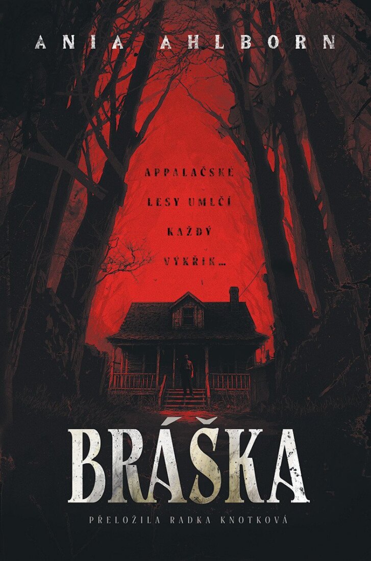 Obálka knihy Bráška