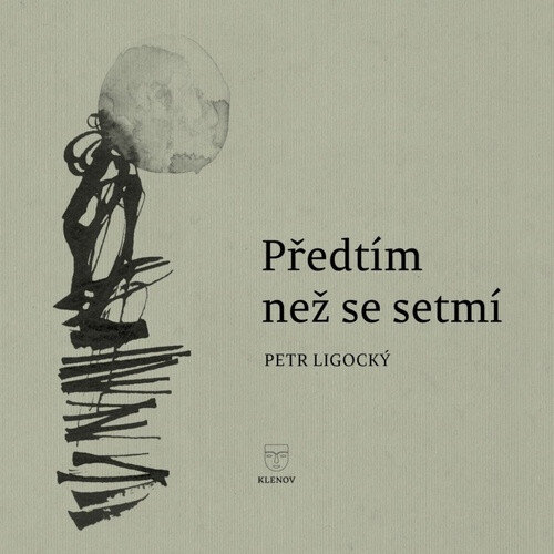 Obálka knihy Předtím než se setmí