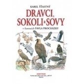 Obálka knihy Dravci, sokoli a sovy