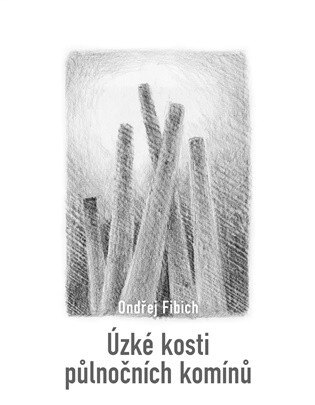 Obálka knihy Úzké kosti půlnočních komínů