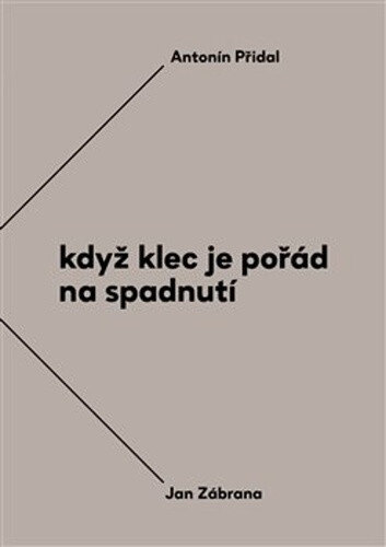 Obálka knihy Když klec je pořád na spadnutí