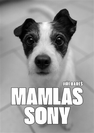 Obálka knihy Mamlas Sony