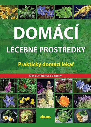 Obálka knihy Domácí léčebné prostředky