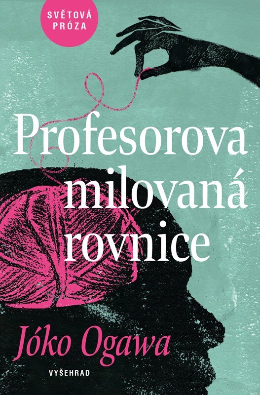 Obálka knihy Profesorova milovaná rovnice