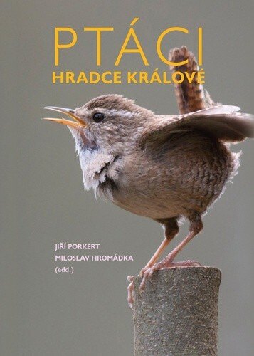 Obálka knihy Ptáci Hradce Králové