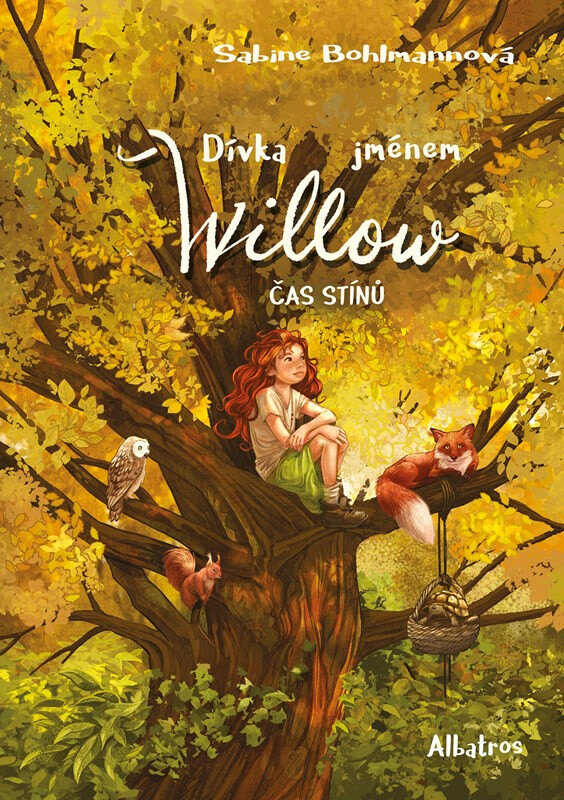 Obálka knihy Dívka jménem Willow: Čas stínů