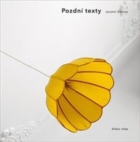 Obálka knihy Pozdní texty