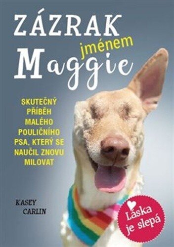 Obálka knihy Zázrak jménem Maggie