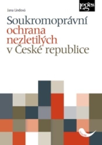 Obálka knihy Soukromoprávní ochrana nezletilých v České republice