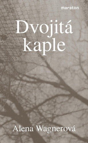 Obálka knihy Dvojitá kaple