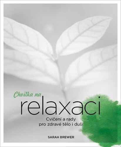 Obálka knihy Chvilka na relaxaci