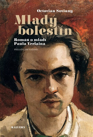 Obálka knihy Mladý bolestín