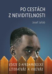 Obálka knihy Po cestách z neviditelnosti