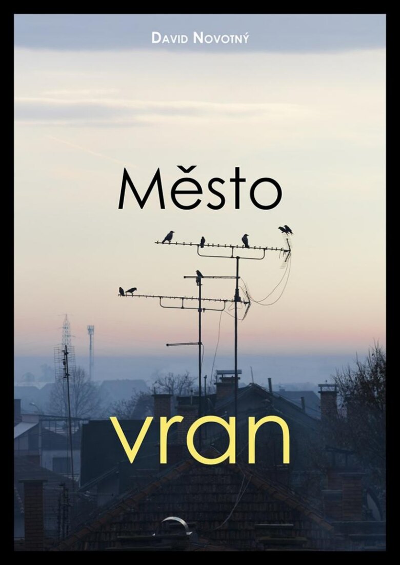 Obálka knihy Město vran