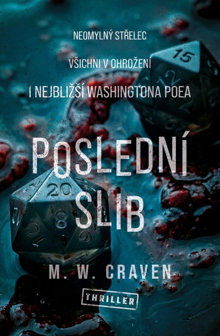 Obálka knihy Poslední slib