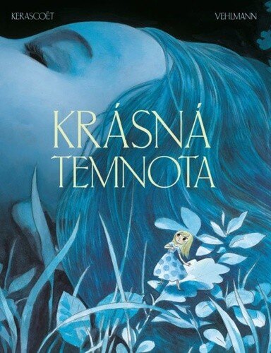 Obálka knihy Krásná temnota