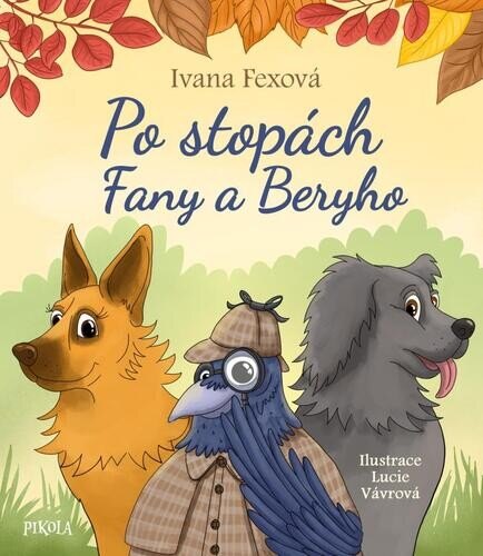 Obálka knihy Po stopách Fany a Beryho