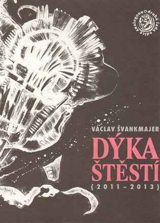 Obálka knihy Dýka štěstí