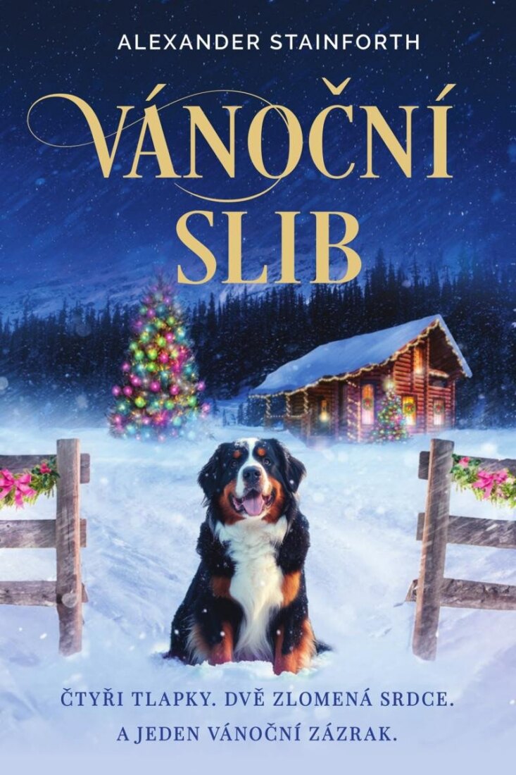 Obálka knihy Vánoční slib