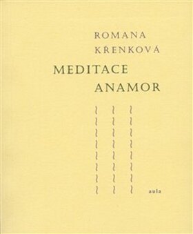 Obálka knihy Meditace Anamor