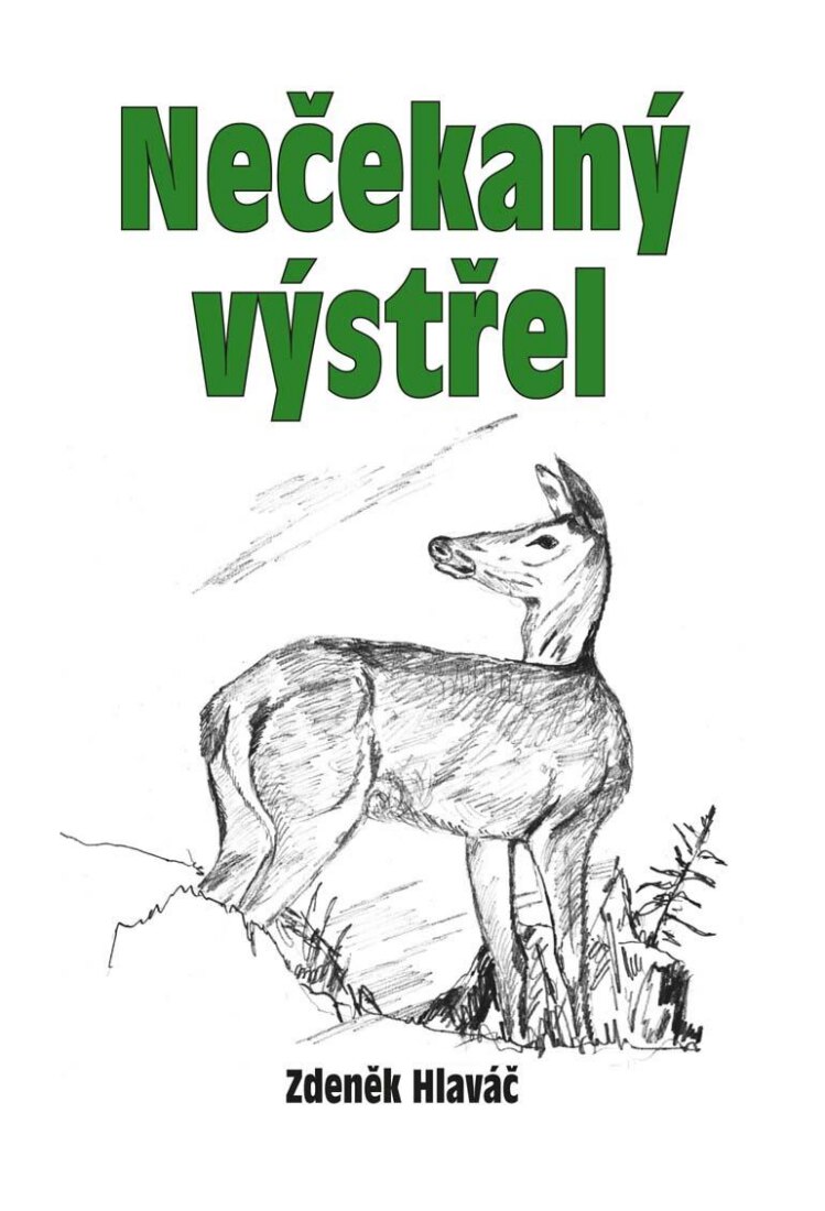Obálka knihy Nečekaný výstřel