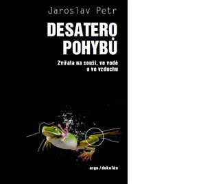 Obálka knihy Desatero pohybů