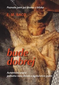 Obálka knihy Bude dobrej...