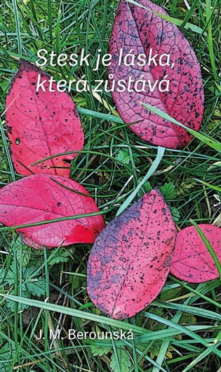 Obálka knihy Stesk je láska, která zůstává