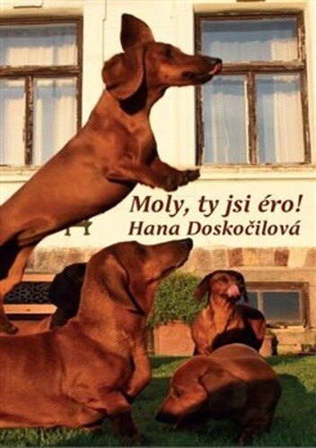 Obálka knihy Moly, ty si éro!