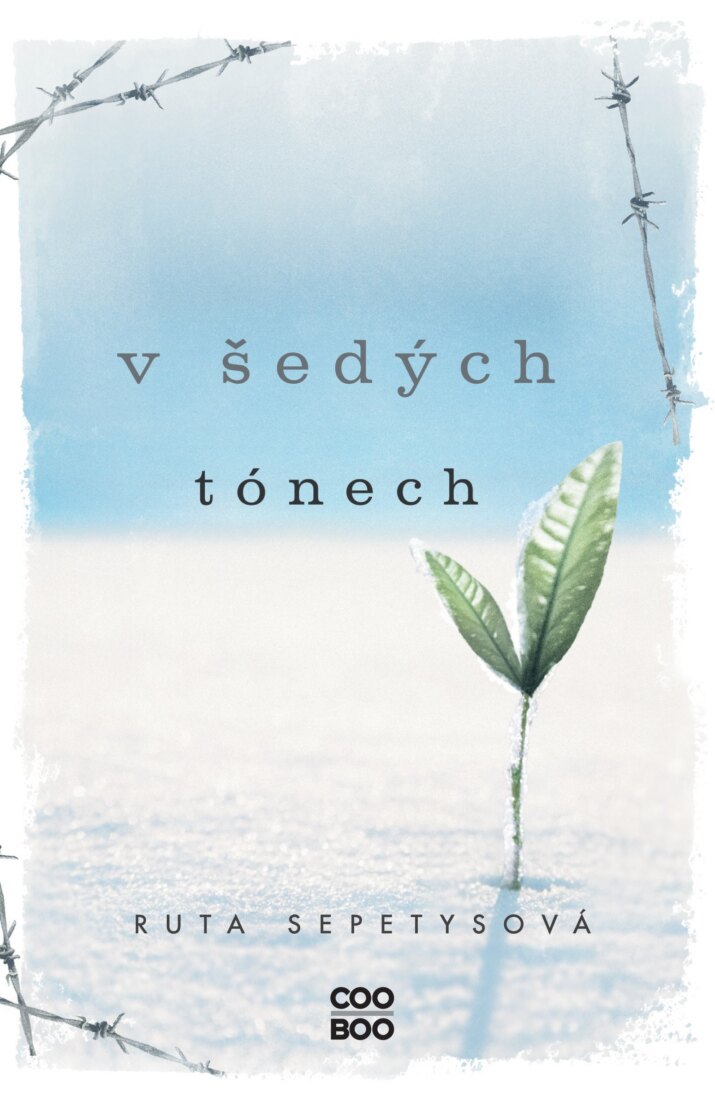 Obálka knihy V šedých tónech