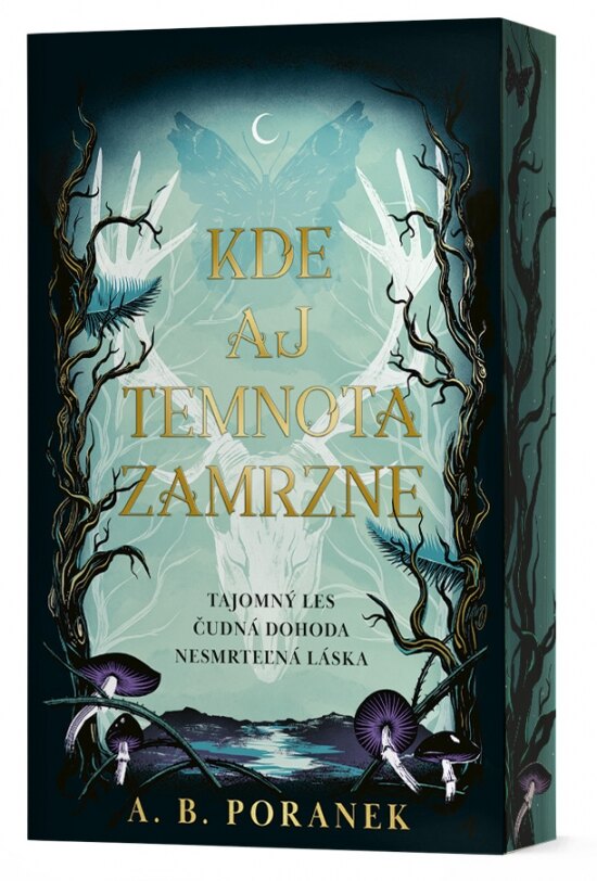Obálka knihy Kde aj temnota zamrzne