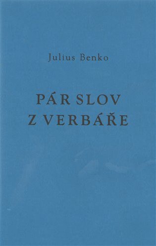 Obálka knihy Pár slov z verbáře