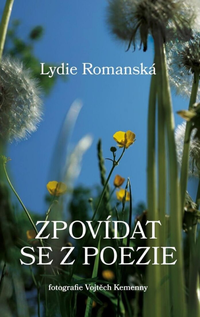 Obálka knihy Zpovídat se z poezie
