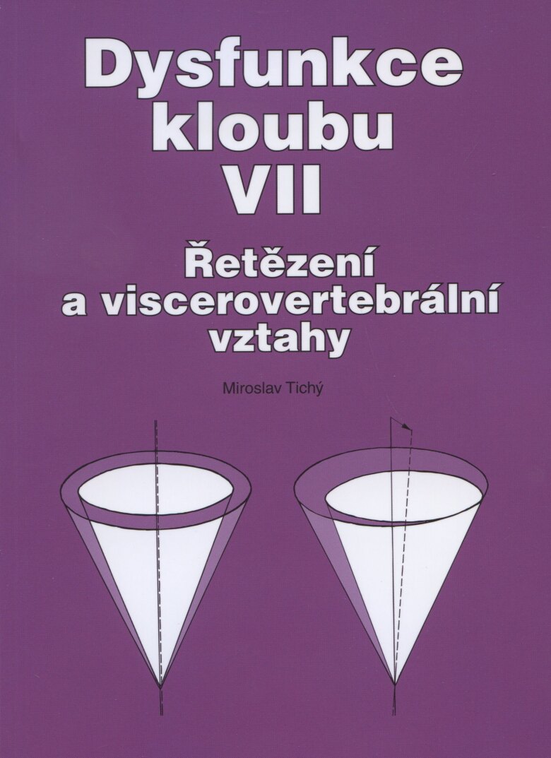 Obálka knihy Dysfunkce kloubu VII.