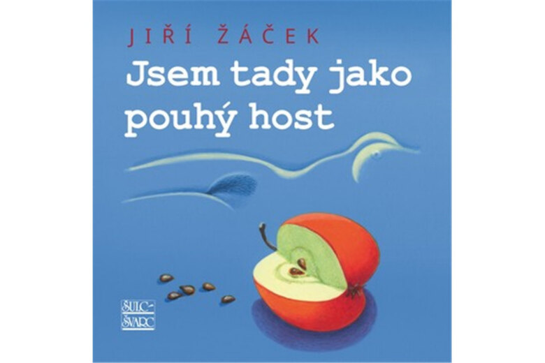 Obálka knihy Jsem tady jako pouhý host