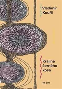 Obálka knihy Krajina černého kosa