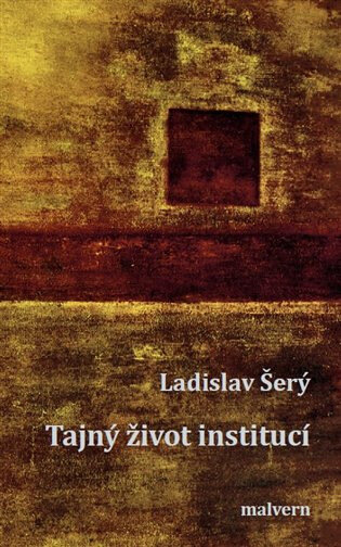 Obálka knihy Tajný život institucí