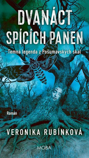 Obálka knihy Dvanáct spících panen