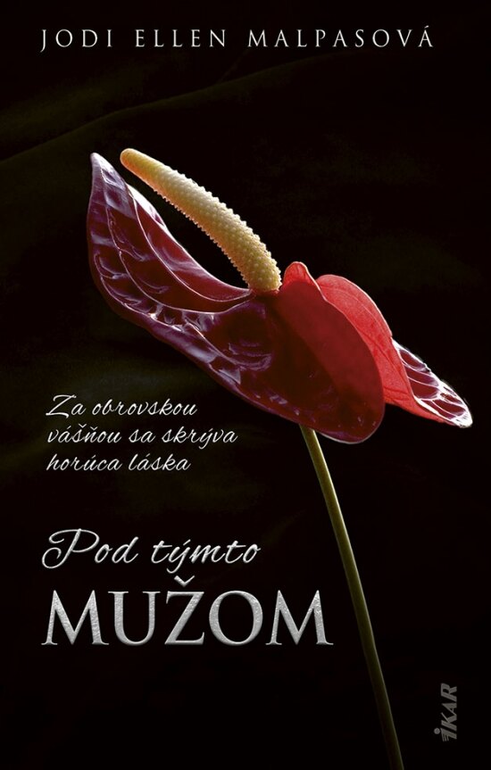 Obálka knihy Pod týmto mužom (2. vydanie) (1. akosť)