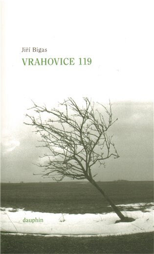 Obálka knihy Vrahovice 119