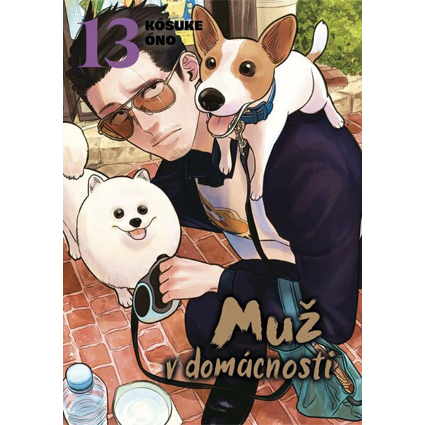 Obálka knihy Muž v domácnosti 13