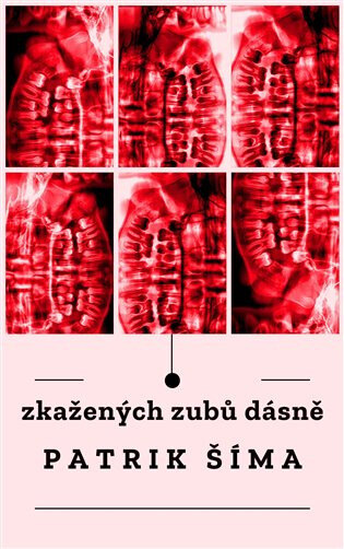 Obálka knihy Zkažených zubů dásně
