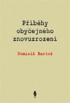 Obálka knihy Příběhy obyčejného znovuzrození