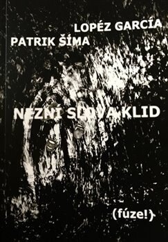 Obálka knihy Nezní slova klid