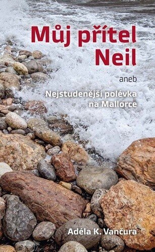 Obálka knihy Můj přítel Neil